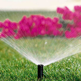 Irrigation Services