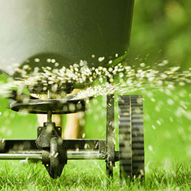 Lawn Fertilization