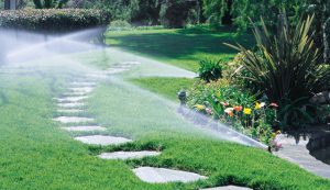 Irrigation & Sprinkler Repair