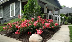 Residential Landscaping