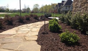 residential landscaping