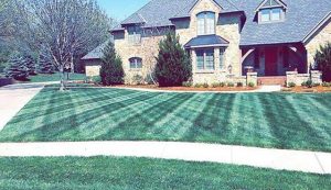 residential lawn maintenance